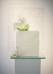 modern_minimalistic_cake